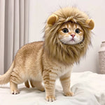 Bild in Galerie-Viewer laden, Löwenmähne Für Katzen