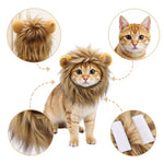 Bild in Galerie-Viewer laden, Löwenmähne Für Katzen