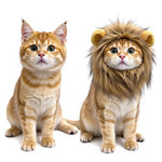 Bild in Galerie-Viewer laden, Löwenmähne Für Katzen