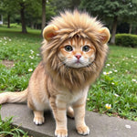 Bild in Galerie-Viewer laden, Löwenmähne Für Katzen